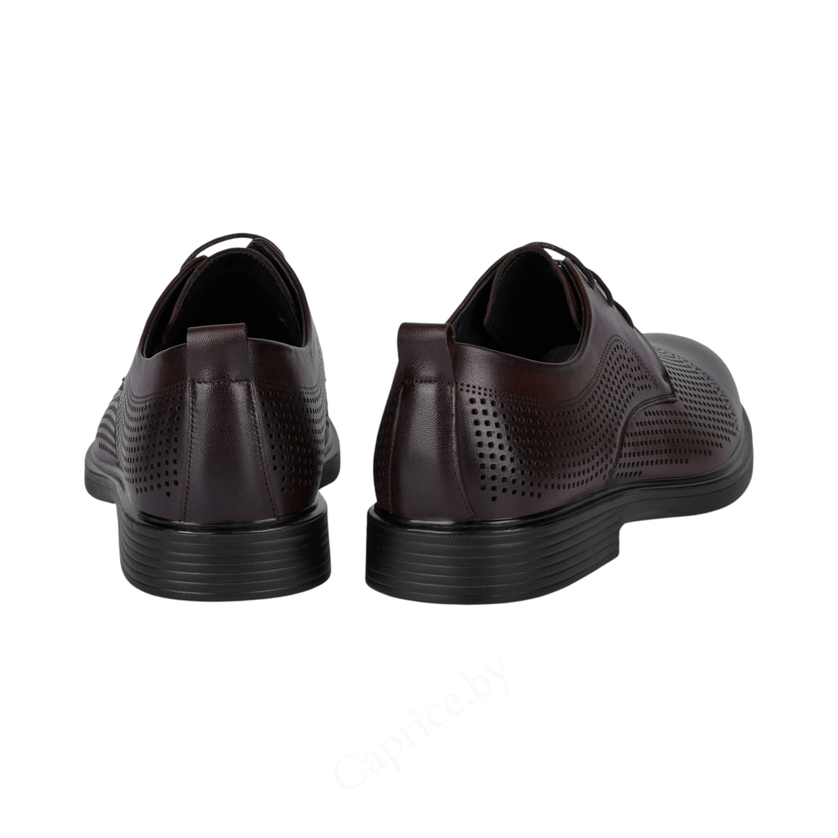 ТУФЛИ ЛЕТНИЕ SALAMANDER MEN АРТИКУЛ: 104-1669B-6109